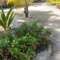 фото из отзыва ID 2725722