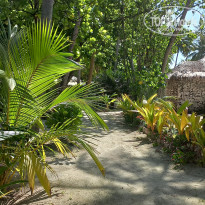 фото из отзыва ID 2725722