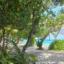 фото из отзыва ID 2725722