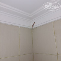 фото из отзыва ID 2725752