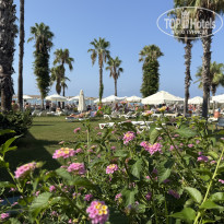 фото из отзыва ID 2725756