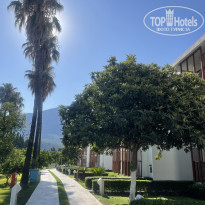 фото из отзыва ID 2725767