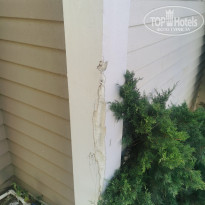 фото из отзыва ID 2725783