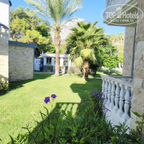 фото из отзыва ID 2724290