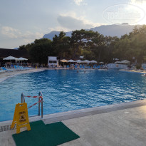 фото из отзыва ID 2724290