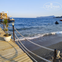 фото из отзыва ID 2724290