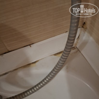 фото из отзыва ID 2725807