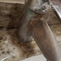 фото из отзыва ID 2725807