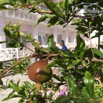 фото из отзыва ID 2725845