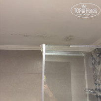 фото из отзыва ID 2725849