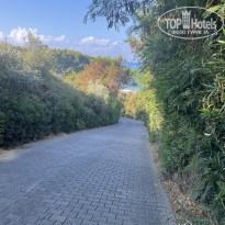 фото из отзыва ID 2725850