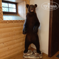 фото из отзыва ID 2725866