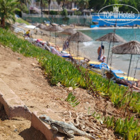 фото из отзыва ID 2725871