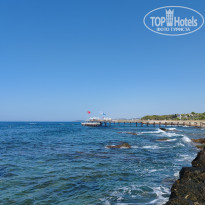 фото из отзыва ID 2725871