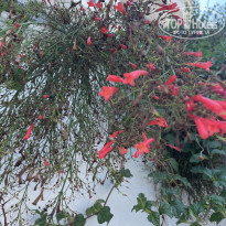 фото из отзыва ID 2725850