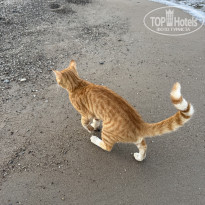 фото из отзыва ID 2725850