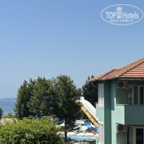 фото из отзыва ID 2725868