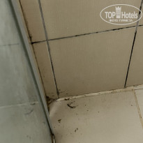 фото из отзыва ID 2725868