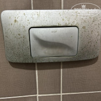 фото из отзыва ID 2725868