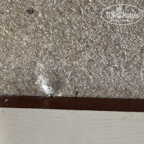 фото из отзыва ID 2725868