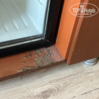 фото из отзыва ID 2725868