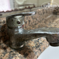 фото из отзыва ID 2725868