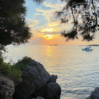 фото из отзыва ID 2725877