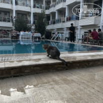 фото из отзыва ID 2725881