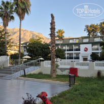 фото из отзыва ID 2725879