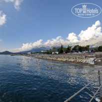 фото из отзыва ID 2725922