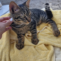 фото из отзыва ID 2725922