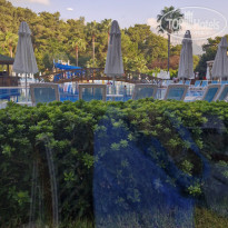 фото из отзыва ID 2725922