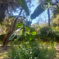 фото из отзыва ID 2725925