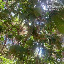 фото из отзыва ID 2725925