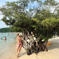 фото из отзыва ID 2725927