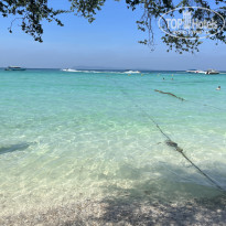 фото из отзыва ID 2725927