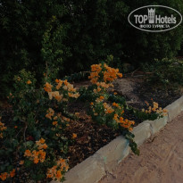 фото из отзыва ID 2725913