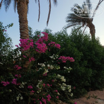 фото из отзыва ID 2725913