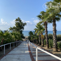 фото из отзыва ID 2725956