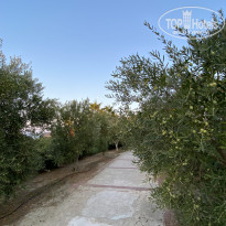 фото из отзыва ID 2725956