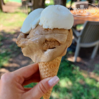 фото из отзыва ID 2725959