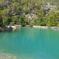 фото из отзыва ID 2725959