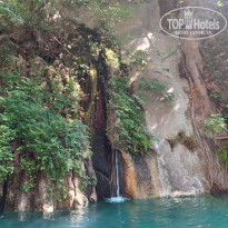 фото из отзыва ID 2725959