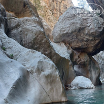 фото из отзыва ID 2725959