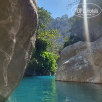 фото из отзыва ID 2725959