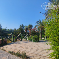 фото из отзыва ID 2725959