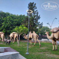 фото из отзыва ID 2725959