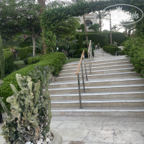 фото из отзыва ID 2725967