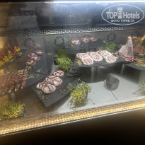 фото из отзыва ID 2725967