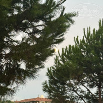 фото из отзыва ID 2725983